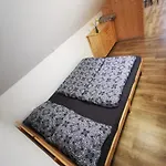 Apartma Na Kozolcu *